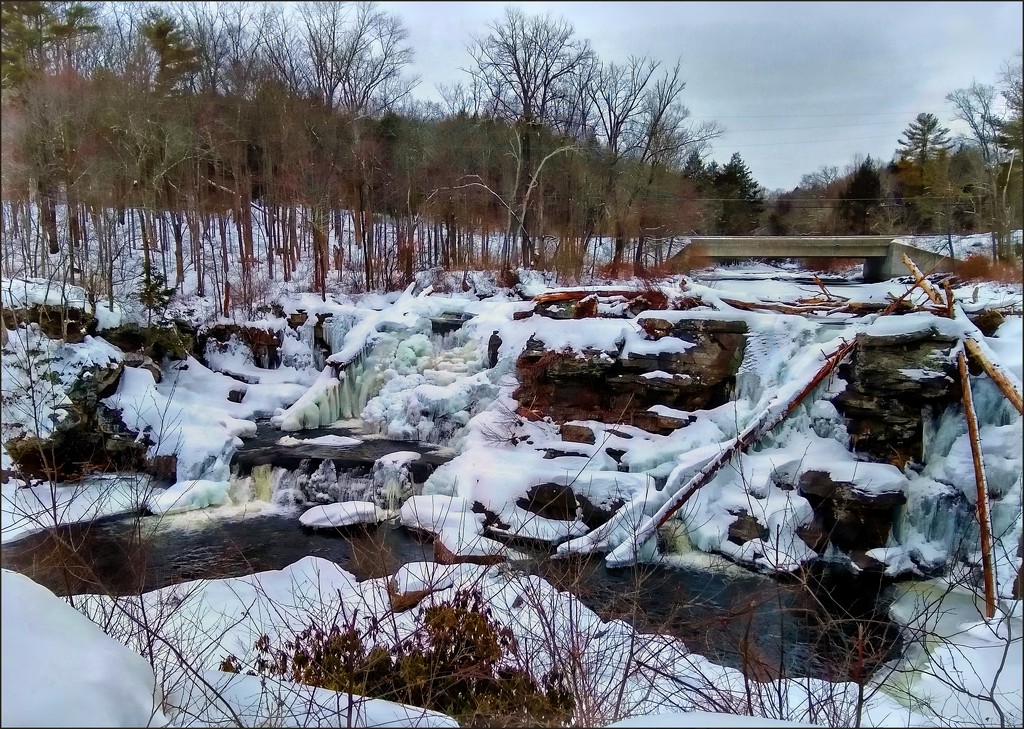 Resica Falls in Winter by olivetreeann