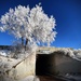 Tree tunnel by jeffjones