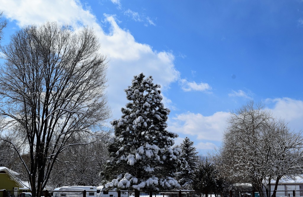 Blue sky and sun after the snow by sandlily