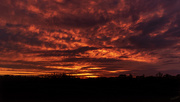 17th Feb 2021 - Red Sky at Night