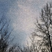 Bare trees and winter skies... by marlboromaam
