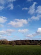 15th Feb 2021 - Blue skies over the golf course...