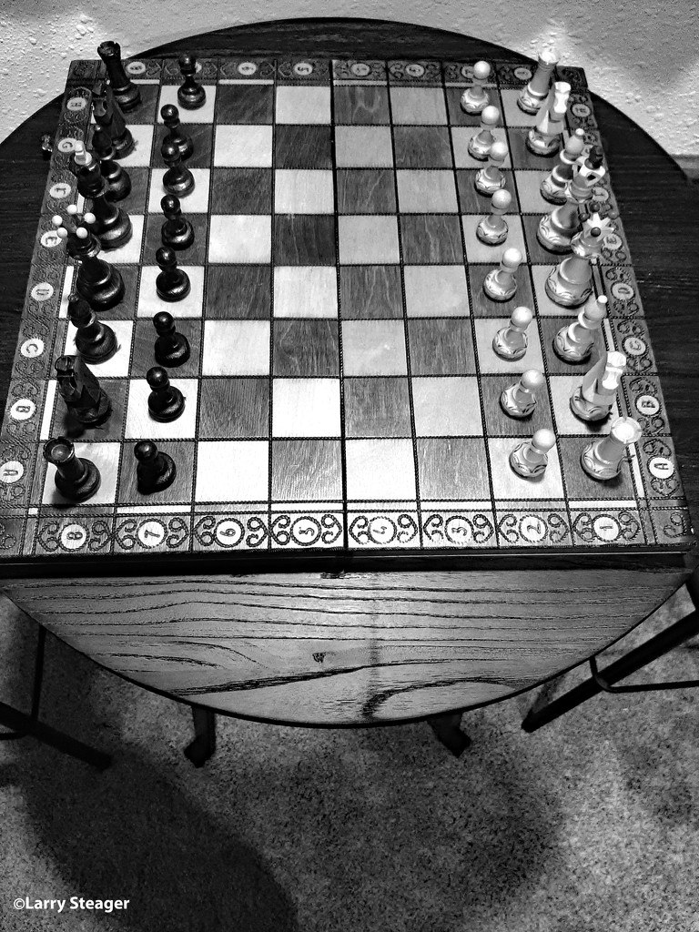 Chess in black and white by larrysphotos
