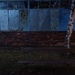 Simple Early Evening Scene with a Birch and a Bench.  by kclaire