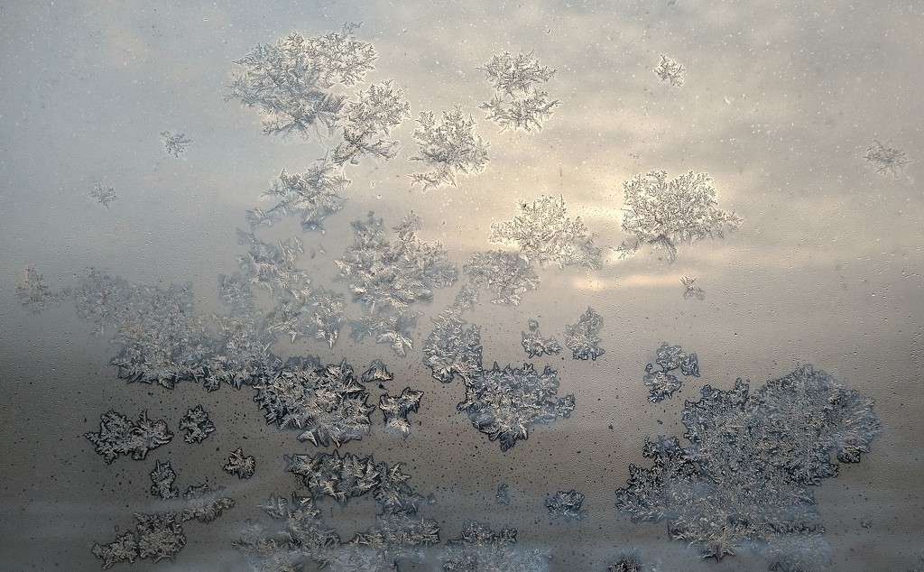 The Magic of Frost and the Rising Sun Behind Our Window.  by kclaire