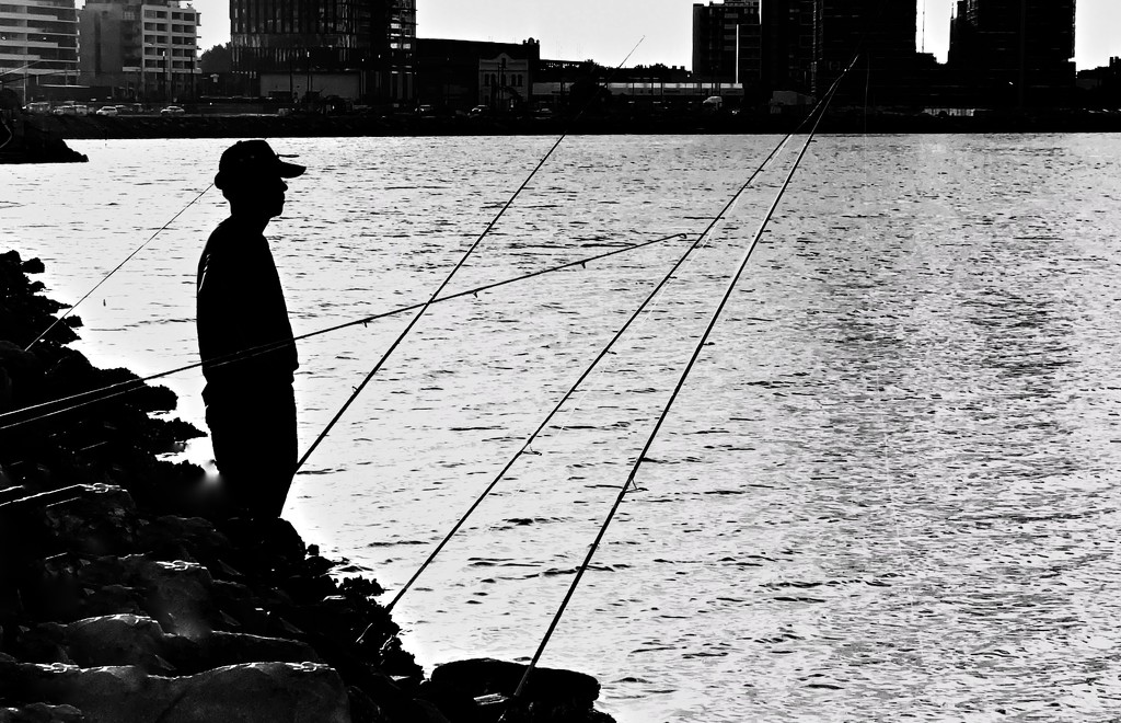 “There's a fine line between fishing and just standing on the shore like an idiot”. Steven Wright by johnfalconer