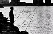 20th Feb 2021 - “There's a fine line between fishing and just standing on the shore like an idiot”. Steven Wright