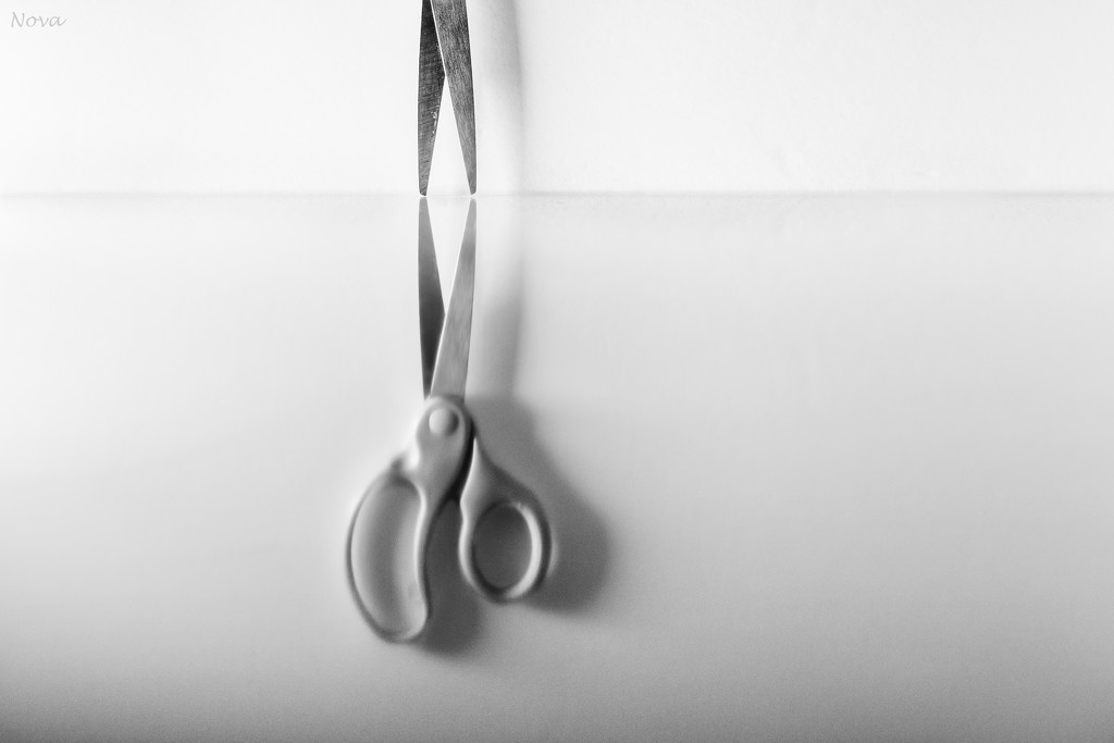 Scissors by novab