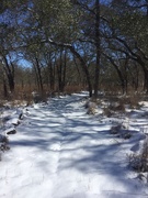 15th Feb 2021 - Winter Trails