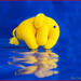 Primary Colour Elephant by pcoulson