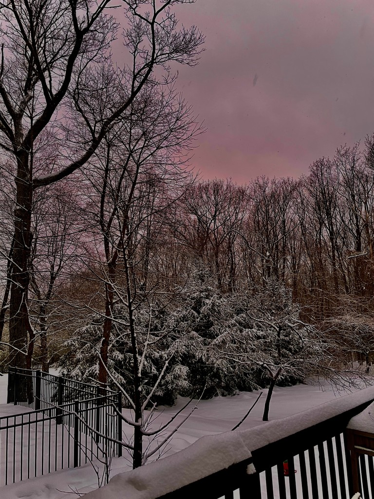 Winter sunset  by mdoelger