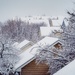 Snowy Rooftops