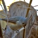 The Cuteness of a Tufted Titmouse by allie912