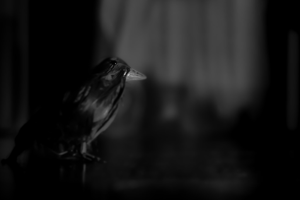 nevermore... by northy