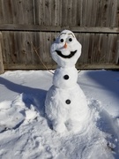 20th Feb 2021 - Do you wanna build a snowman?