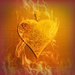  Heart On Fire.  by wendyfrost