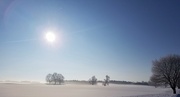 21st Feb 2021 - Sun, frost, and ice fog