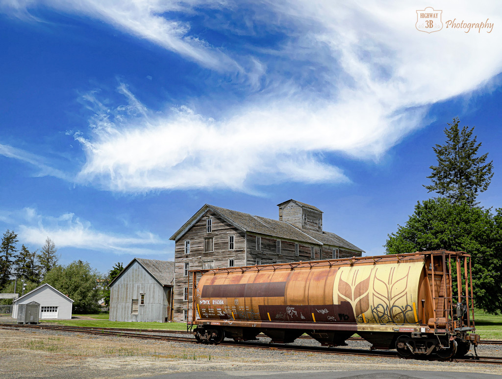 Ex-Canadian Grain Train by jawere