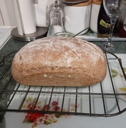 21st Feb 2021 - Paul's Wholewheat bread 