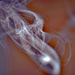 Candle smoke by larrysphotos