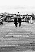 21st Jan 2021 - On the Pier