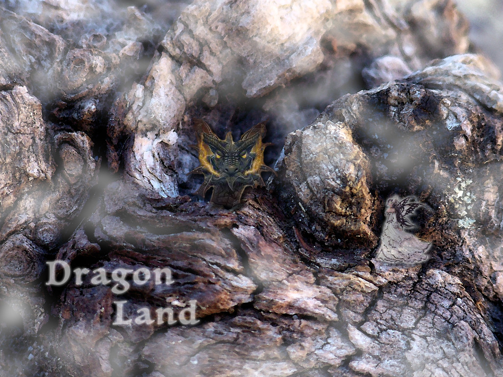 Dragon Land... by marlboromaam