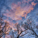 Swirling Sky by kvphoto