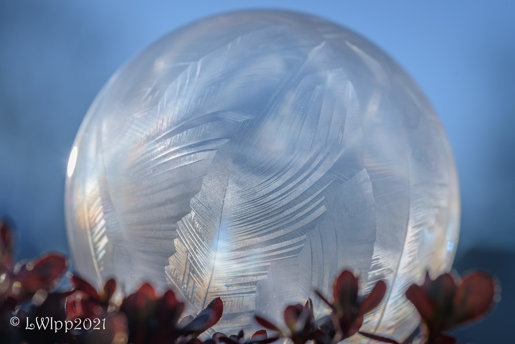 Sunrise Bubble by lesip