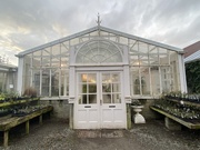 5th Feb 2021 - Greenhouse at sunset