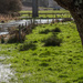 Water Meadows by jqf