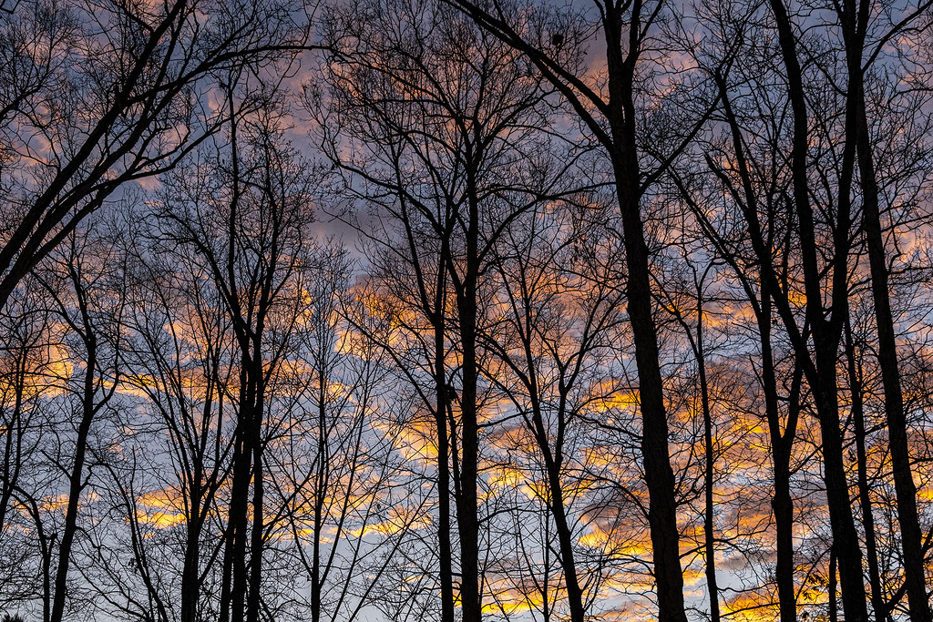Backyard Sunrise by k9photo