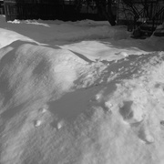 22nd Feb 2021 - Shadows and Snow
