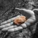 Rock in Hand by kvphoto
