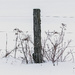 Keeping the Fence Post Company by farmreporter