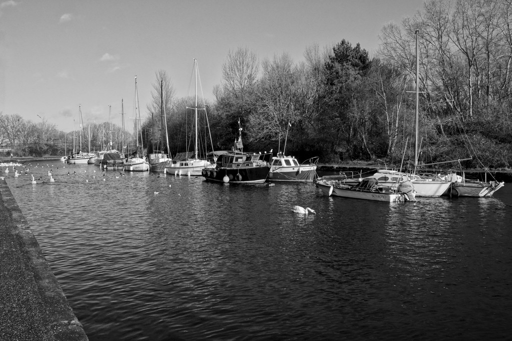 MOORED AT SPIKE ISLAND by markp