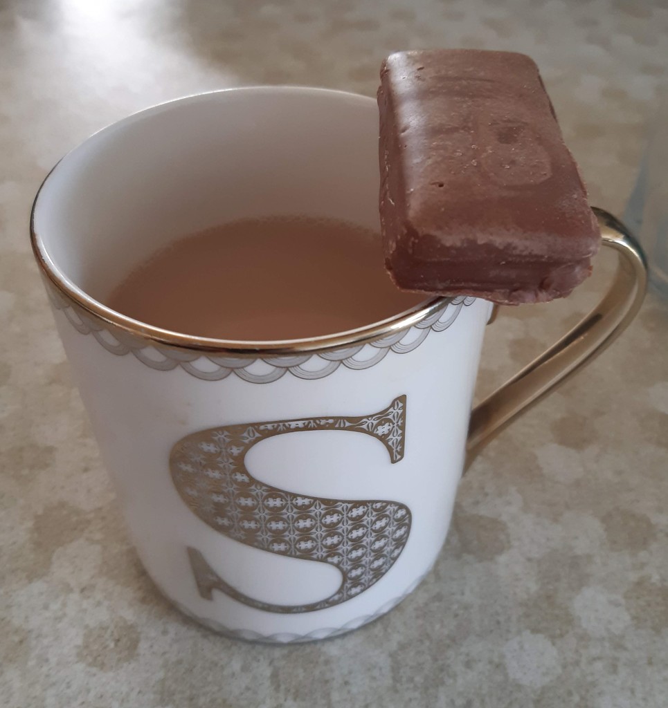 tim tam time by sarah19