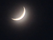 15th Feb 2021 - Misty moon crescent