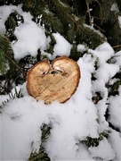 23rd Feb 2021 - Wooden Heart 