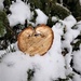 Wooden Heart  by jo38