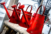 22nd Feb 2021 - Watering Cans  54/365
