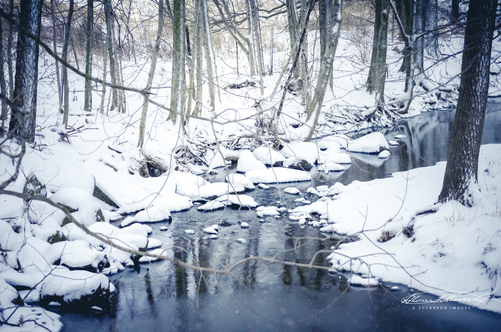 Icy Stream in Winter by ggshearron