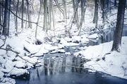 23rd Feb 2021 - Icy Stream in Winter