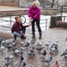 Feeding the pigeons by okvalle