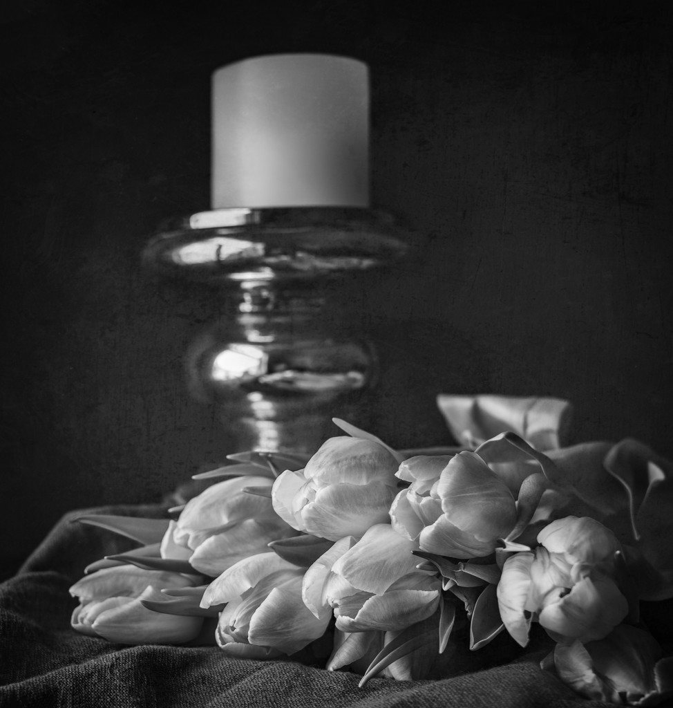 tulip bouquet b&w by jernst1779