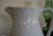 24th Feb 2021 - Pitcher And Basin detail