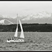 Black and White by seattlite