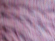 25th Feb 2021 - For get pushed this week @northy suggested using ICM