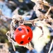 Ladybird by plainjaneandnononsense