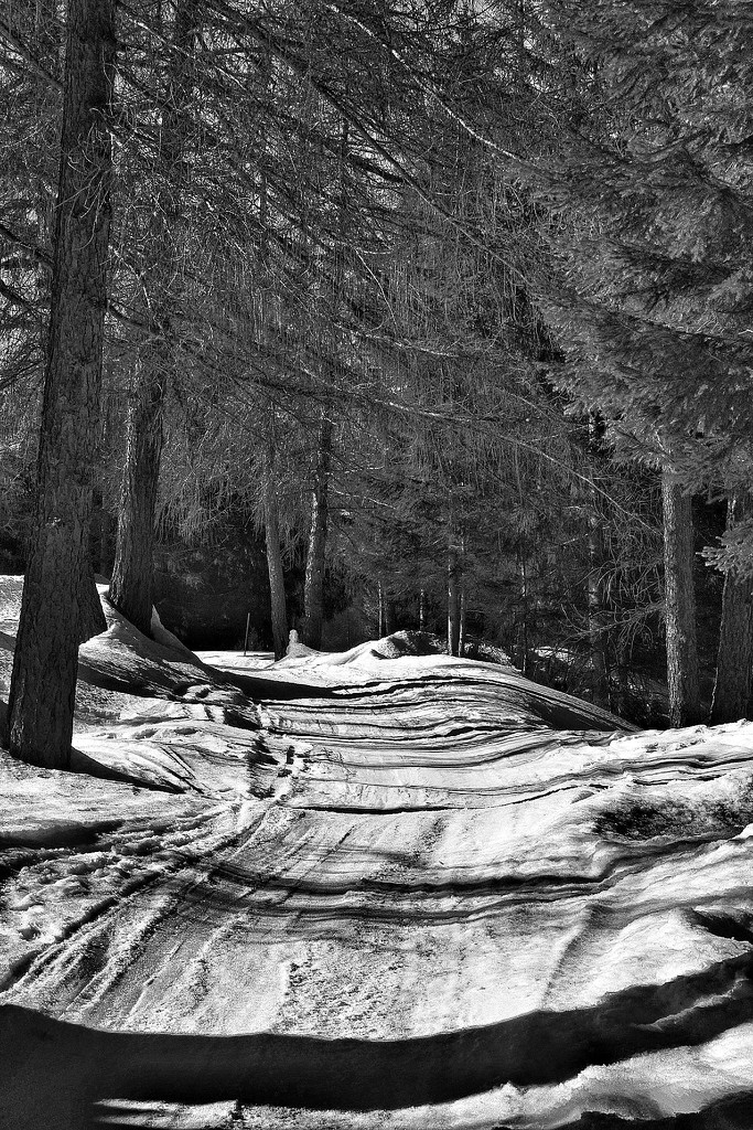 Snowy road by caterina