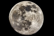 25th Feb 2021 - Full Moon